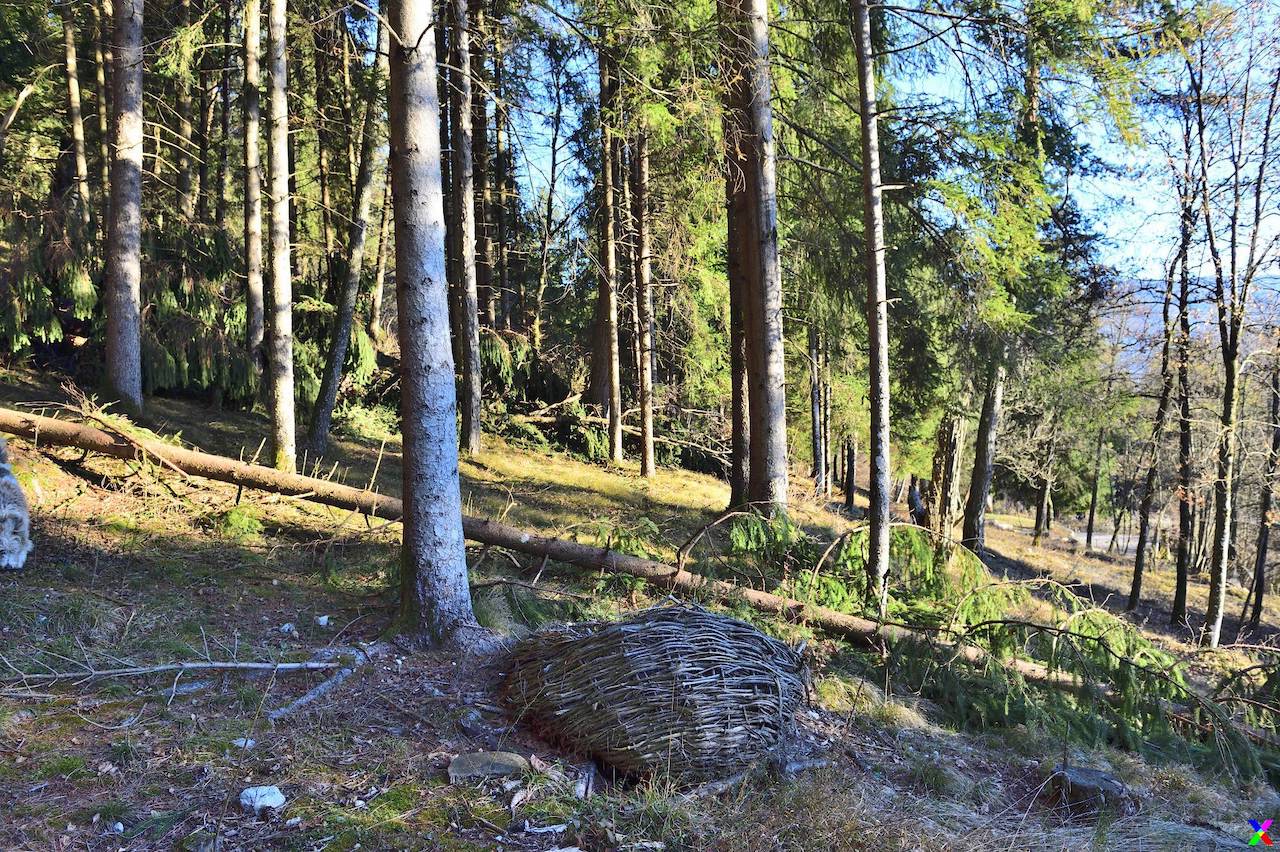 bosco arte stenico vaia